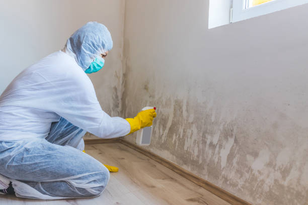 Licensed Mold Inspection service in Middlesex, NJ - WQB Mold Removal