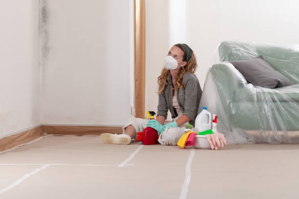 Reliable Mold Inspection contractor in Middlesex, NJ by WQB Mold Removal